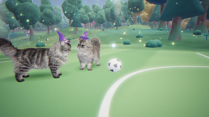 Two wizard cats, Klaus and Bootsie, meet nose to nose beside a football on the pitch in Funky Forest